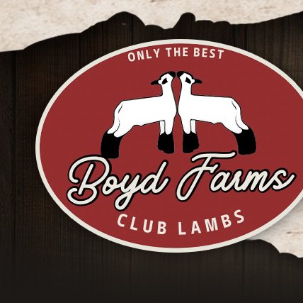 Boyd Farms Club Lambs