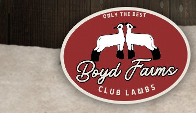 Boyd Farms Club Lambs