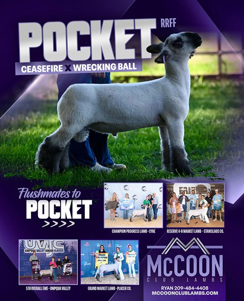 Pocket