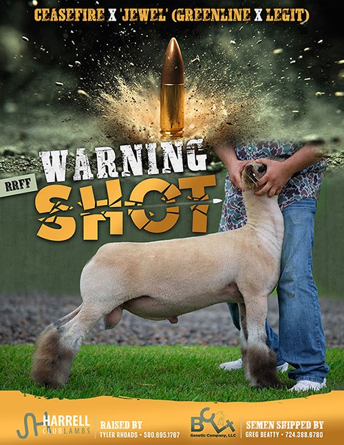 Warning Shot