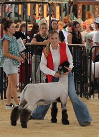 2nd in Class
El Dorado County Fair